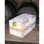 Janet's Jungle Juice - 20 Litre Bag in a Box - West Croft Cider